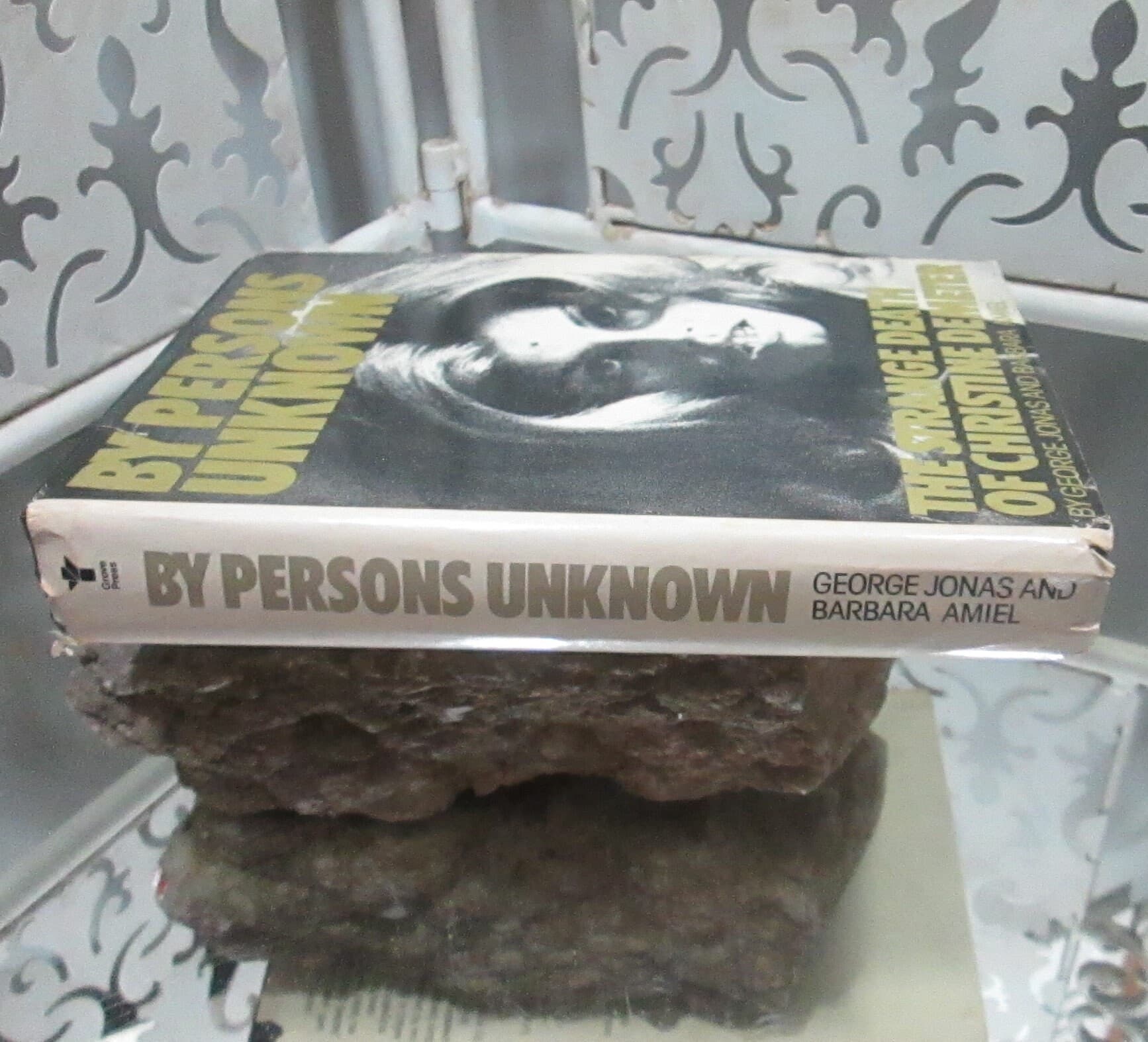 Vintage Book By Persons Unknown: The Strange Death of Christine Demeter, 1977 - Thumbnail 2