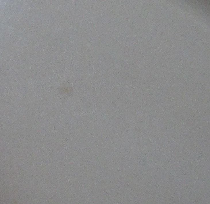 Vintage Scammell's Trenton Restaurant Ware Platter - Thumbnail 2