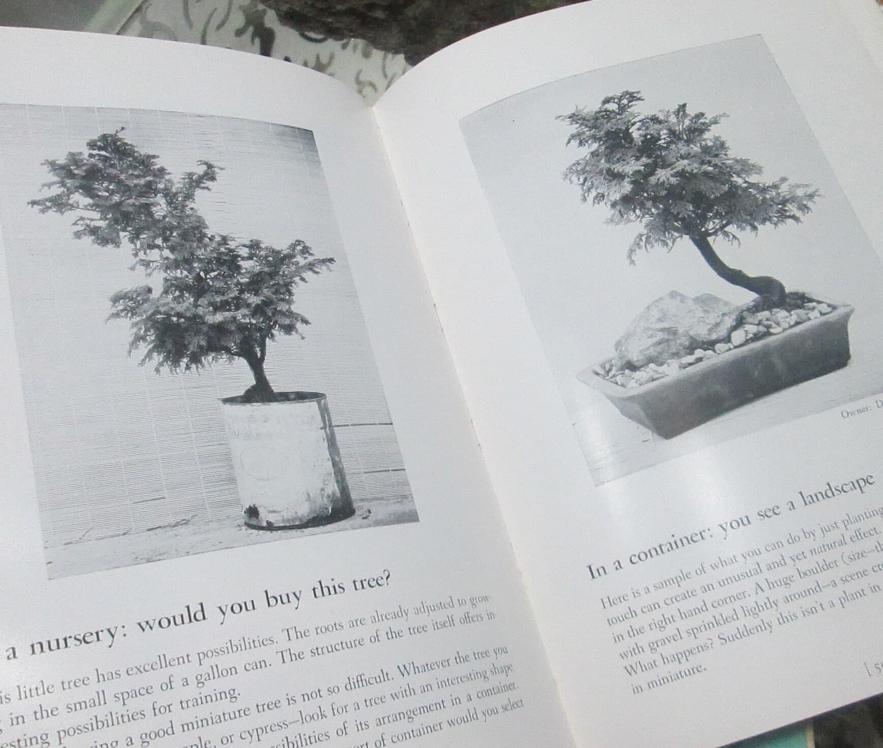 Vintage Book The Art of Growing Miniature Trees, Plants and Landscapes by Tatsuo Ishimoto - Thumbnail 4