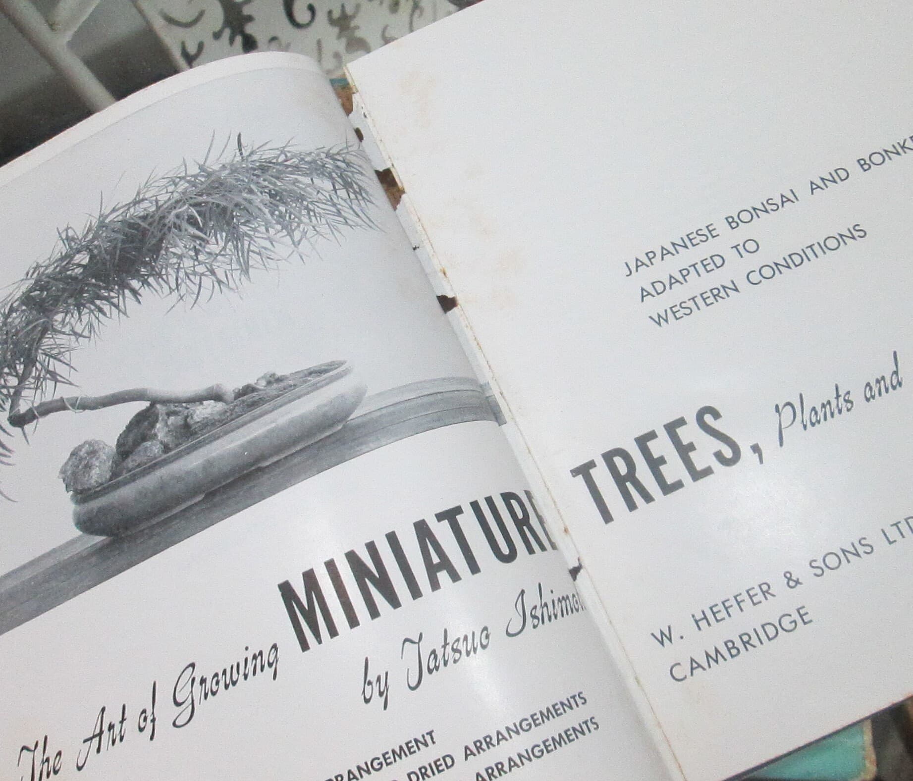 Vintage Book The Art of Growing Miniature Trees, Plants and Landscapes by Tatsuo Ishimoto - Thumbnail 7