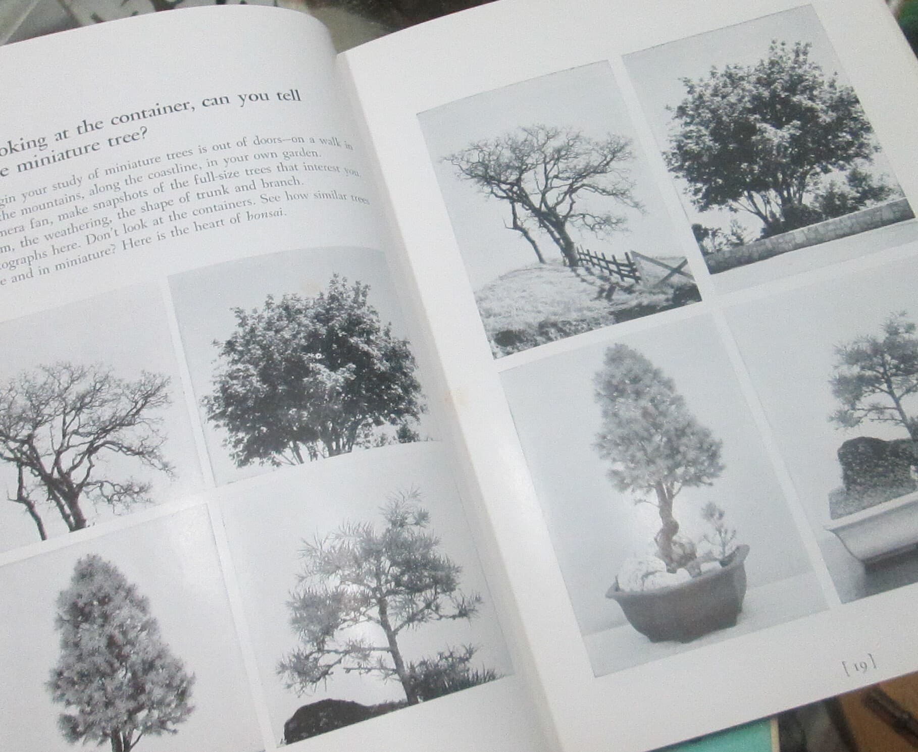 Vintage Book The Art of Growing Miniature Trees, Plants and Landscapes by Tatsuo Ishimoto - Thumbnail 5