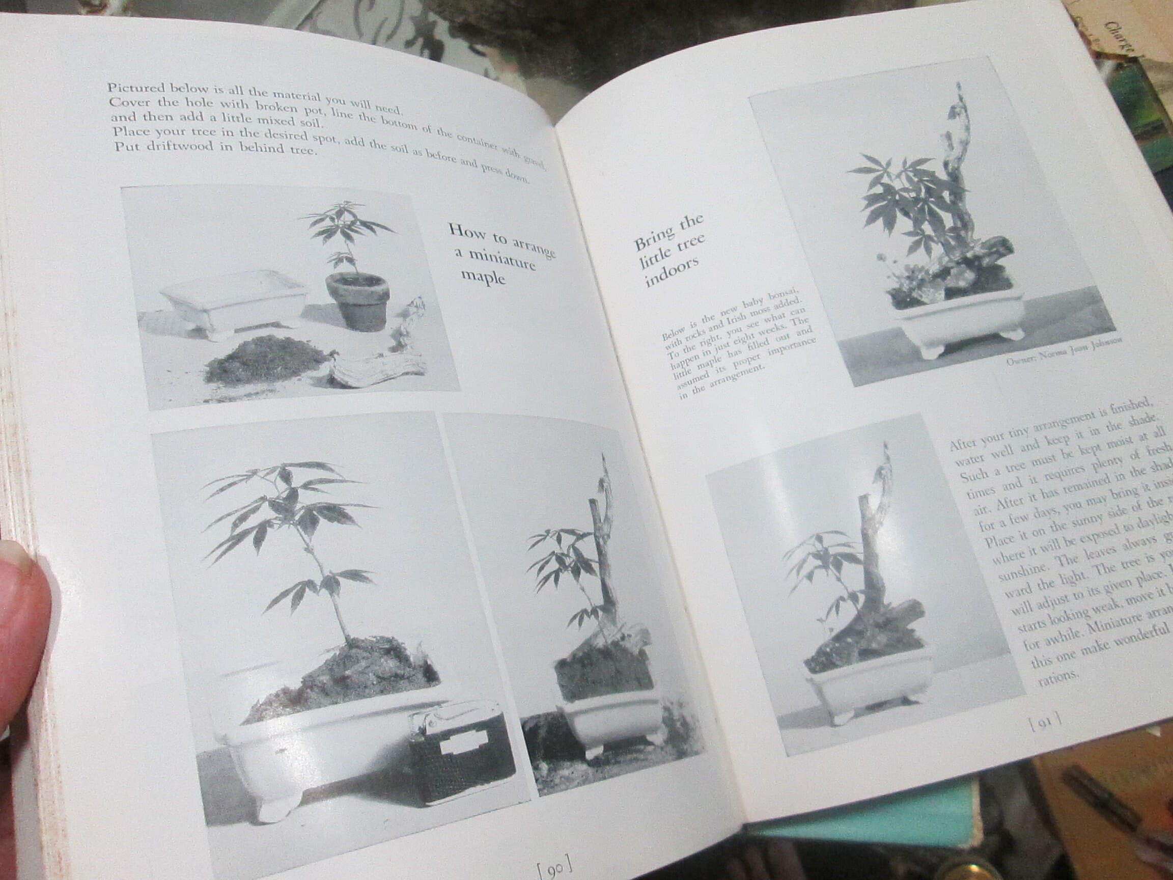 Vintage Book The Art of Growing Miniature Trees, Plants and Landscapes by Tatsuo Ishimoto - Thumbnail 6