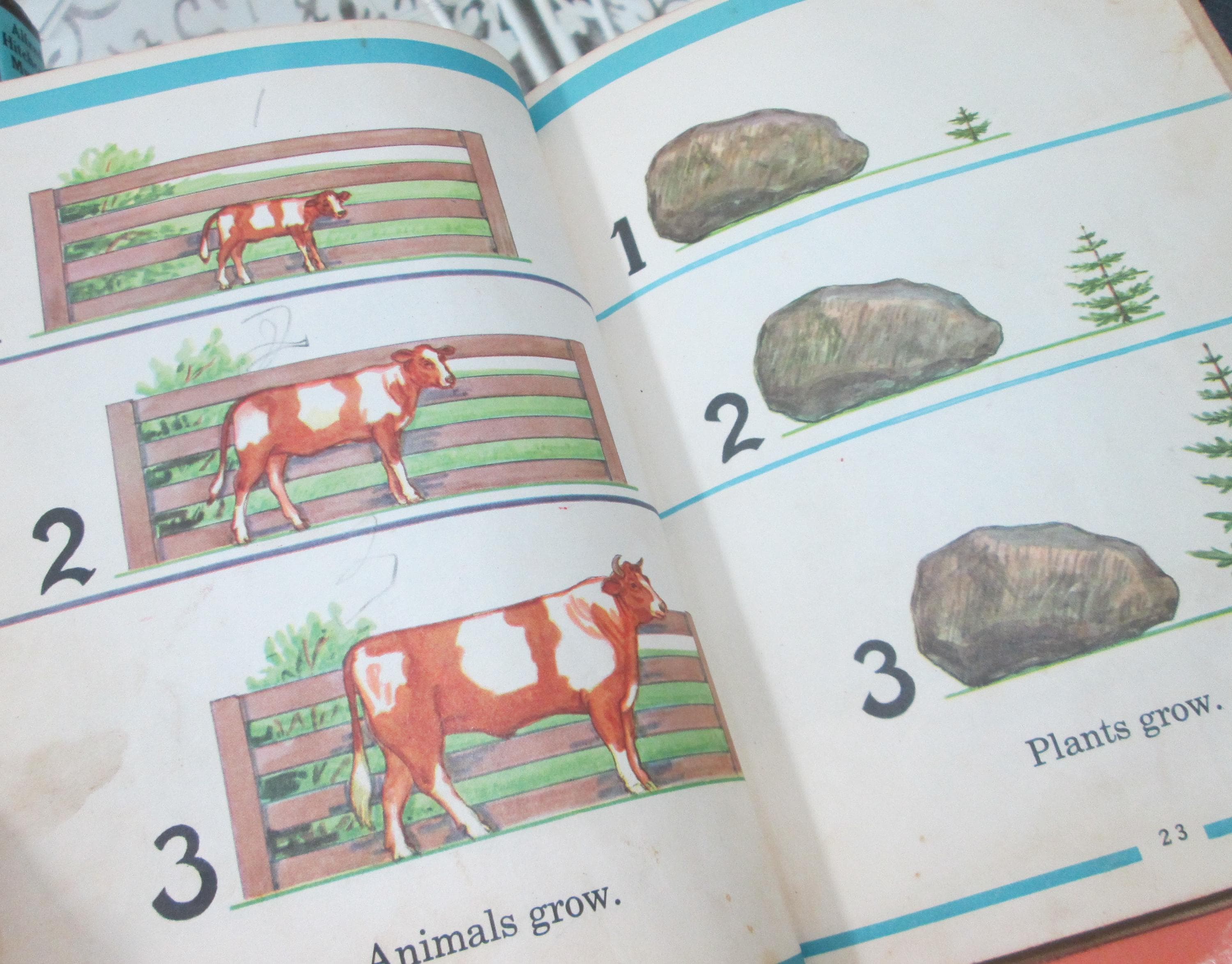 The Wonderworld Readiness Vintage Children's Science Book ,1948 - Thumbnail 7
