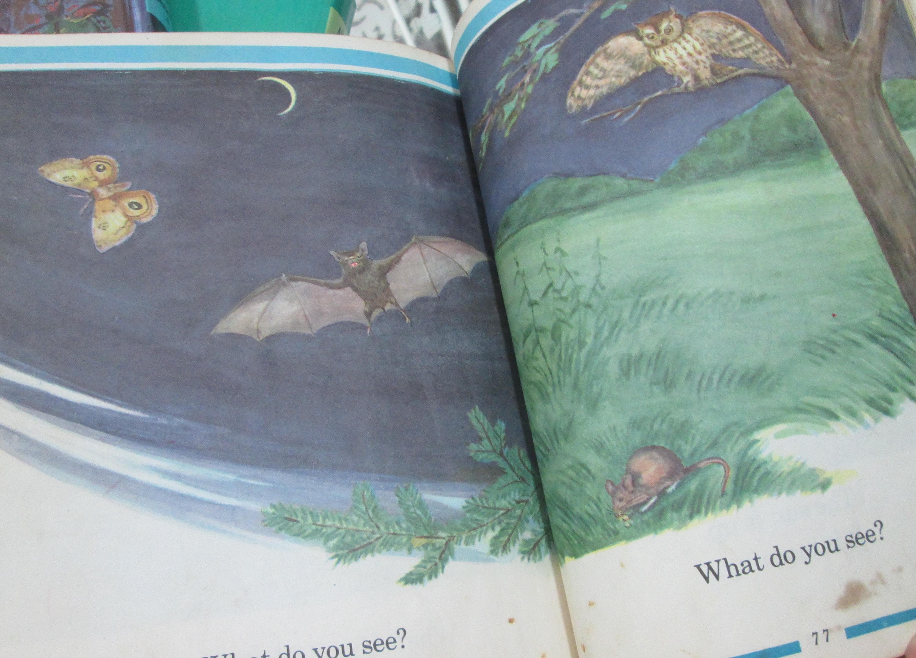 The Wonderworld Readiness Vintage Children's Science Book ,1948 - Thumbnail 6