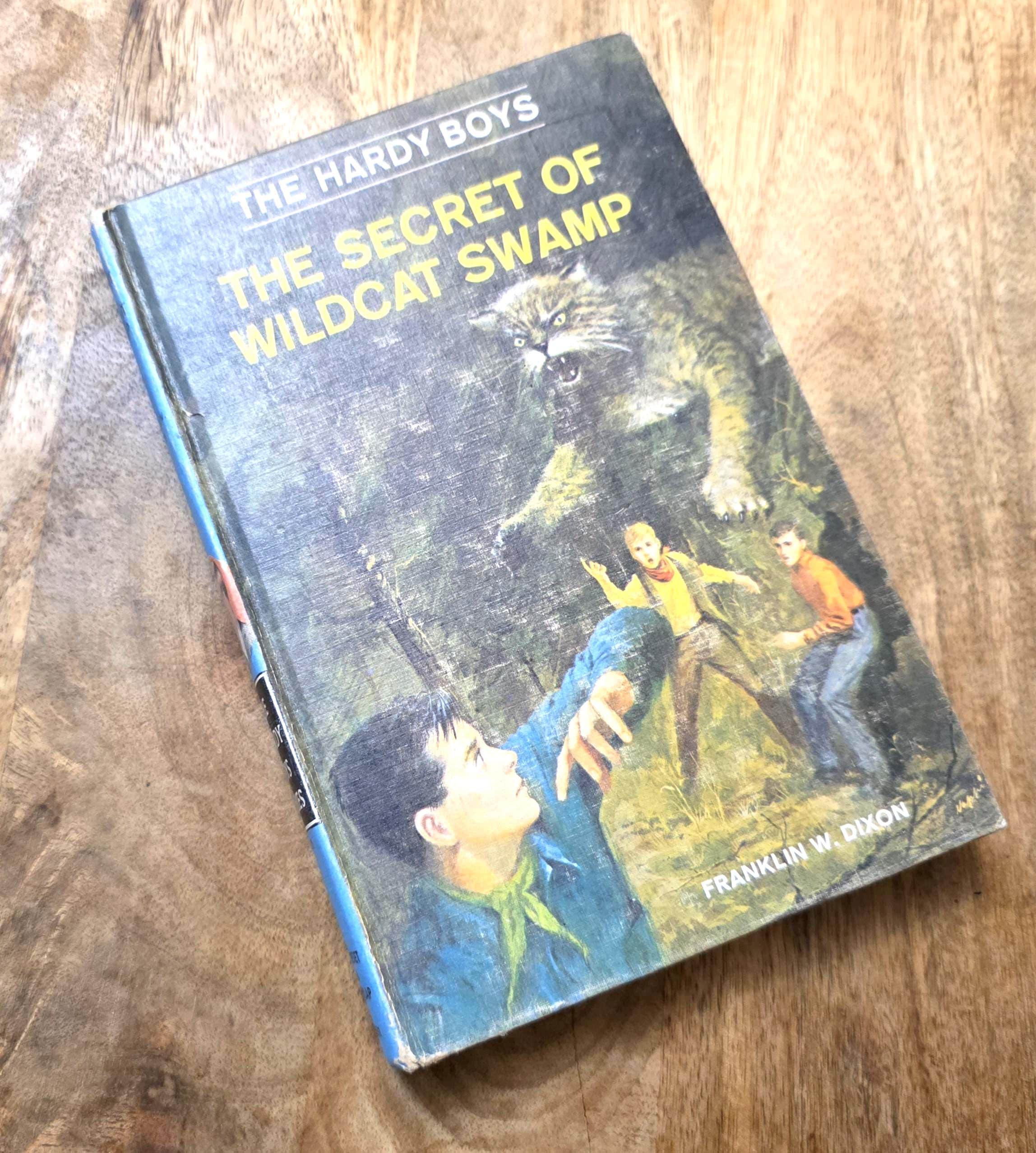 Hardy Boys The Secret of Wildcat Swamp #31 Vintage Book