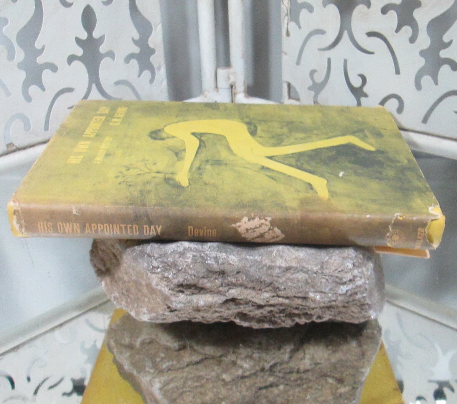 Vintage Book His Own Appointed Day by D.M. Devine, 1966 - Thumbnail 2