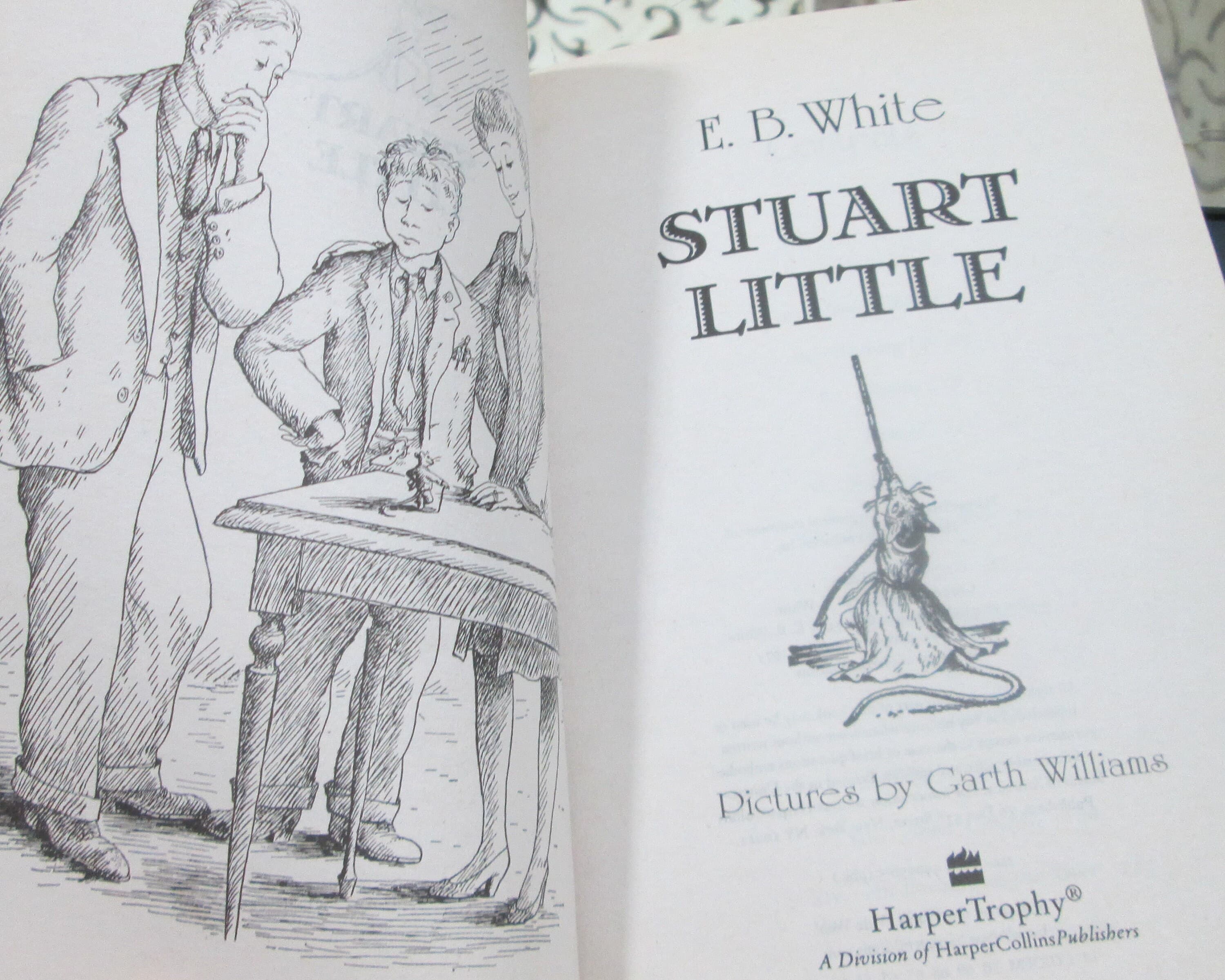 Vintage Paperback Edition of Stuart Little by E.B.White, 1973 - Thumbnail 3