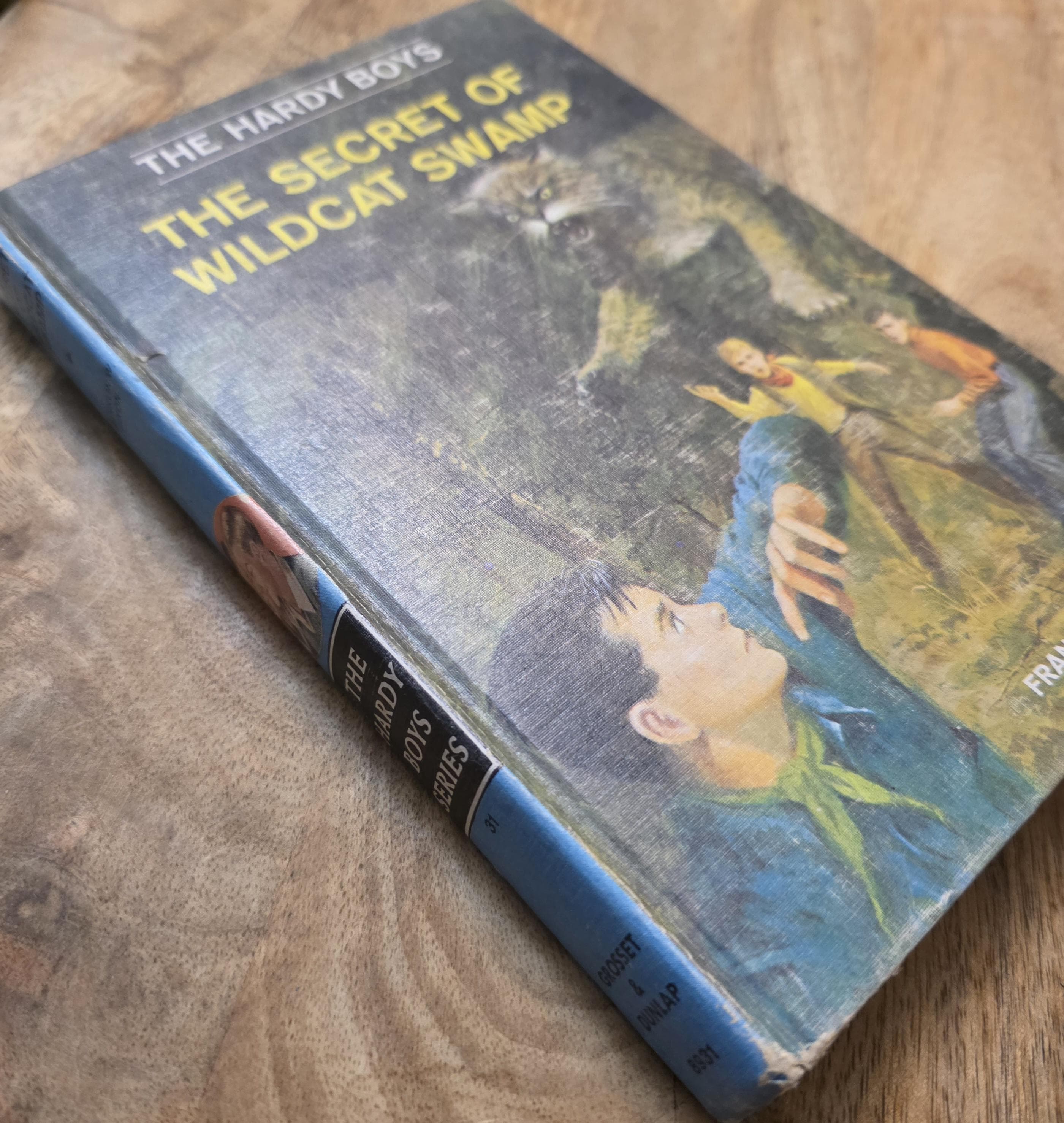Hardy Boys The Secret of Wildcat Swamp #31 Vintage Book - Thumbnail 2