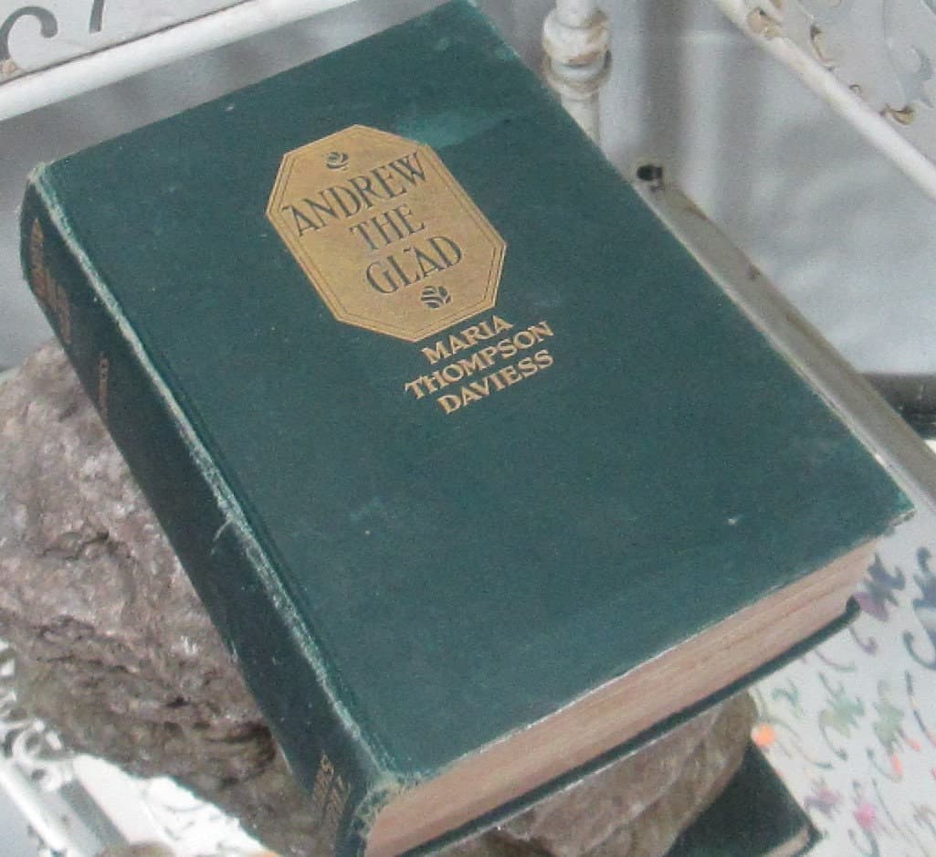 Antique Book Andrew the Glad by Maria Thompson Daviess, 1913