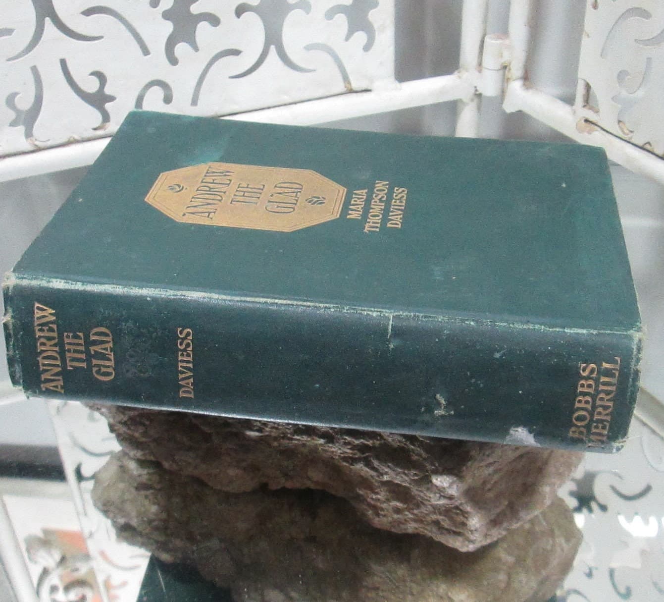 Antique Book Andrew the Glad by Maria Thompson Daviess, 1913 - Thumbnail 2