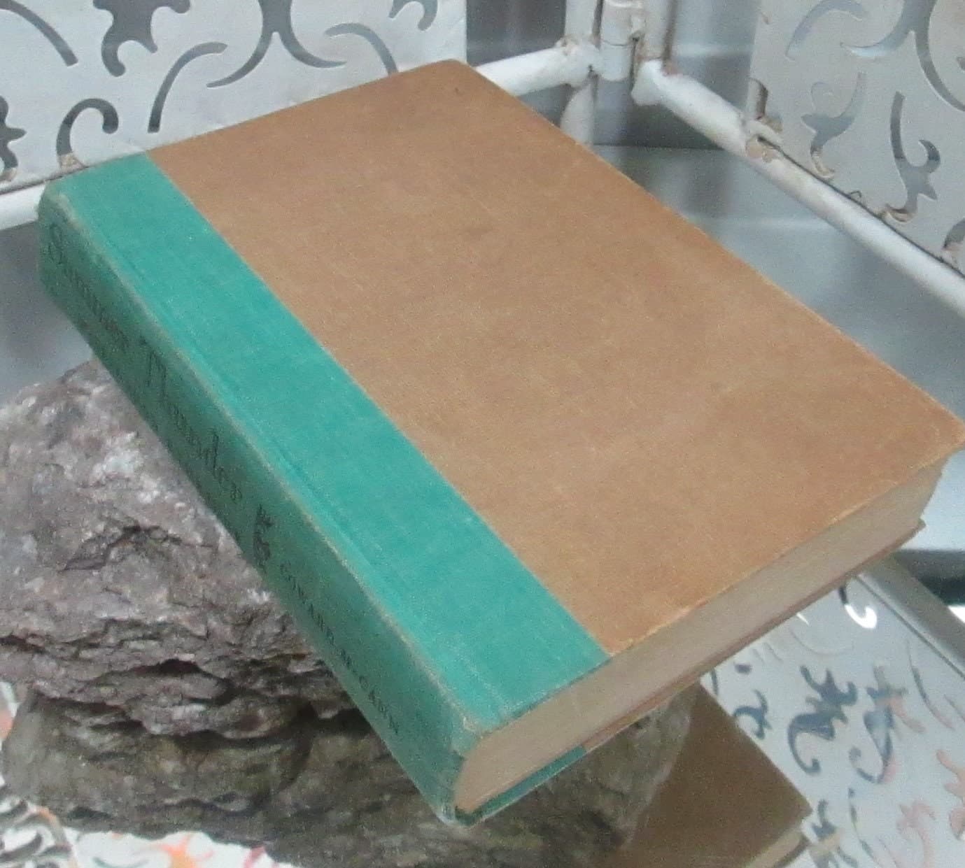 Vintage Book Summer Thunder by Willie Snow Ethridge, 1958