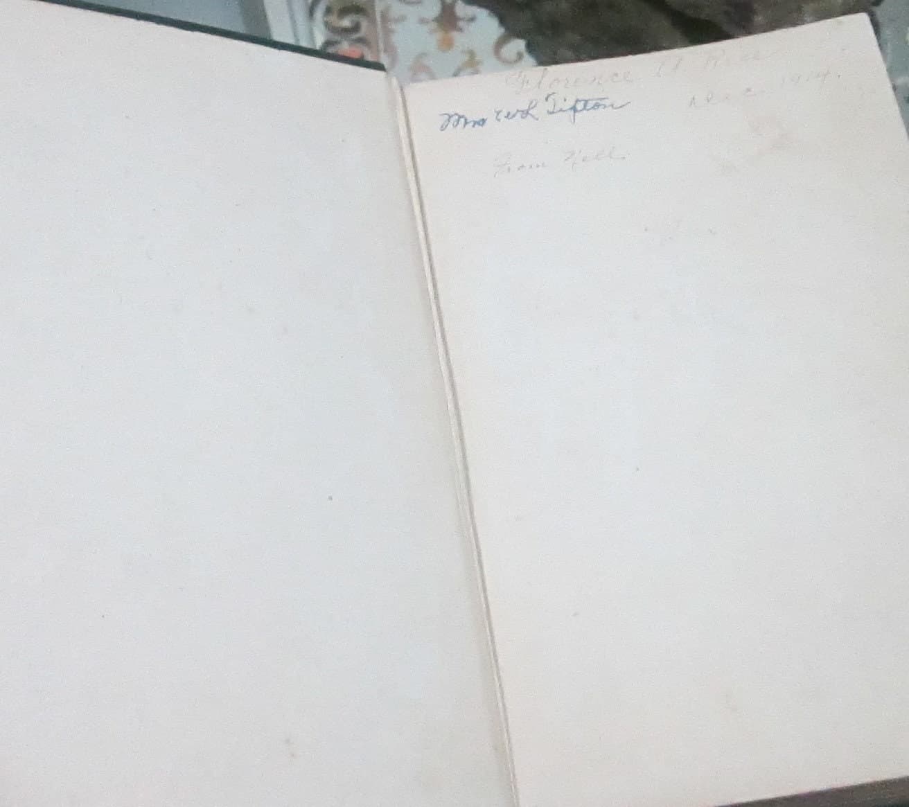 Antique Book Andrew the Glad by Maria Thompson Daviess, 1913 - Thumbnail 5