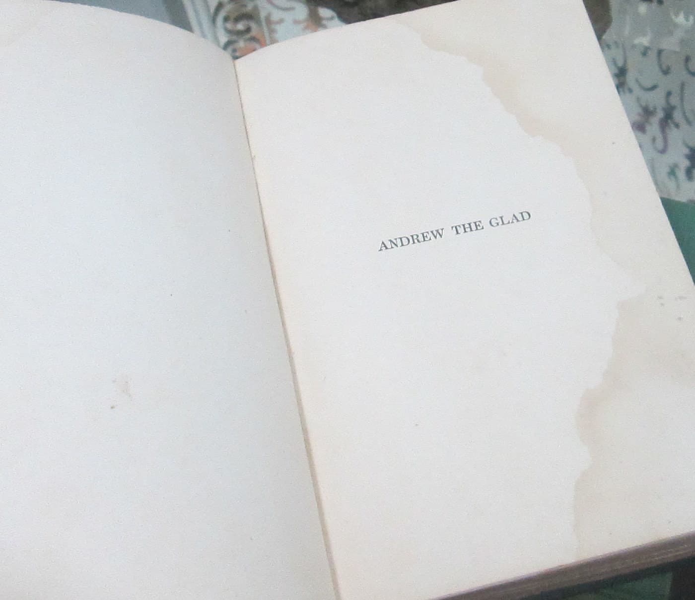 Antique Book Andrew the Glad by Maria Thompson Daviess, 1913 - Thumbnail 4