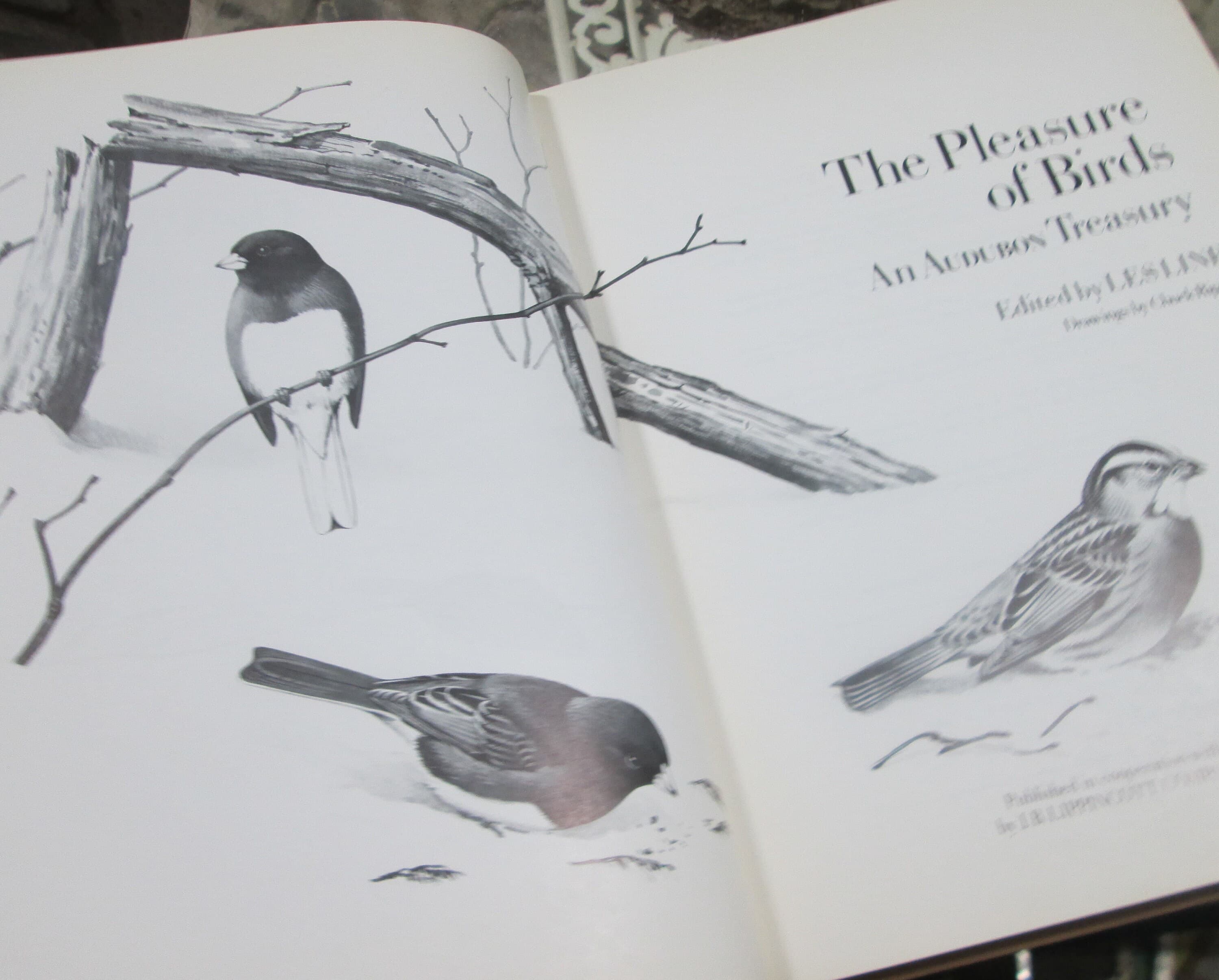 Vintage Book The Pleasure of Birds, An Audobon Treasury, 1975 - Thumbnail 3