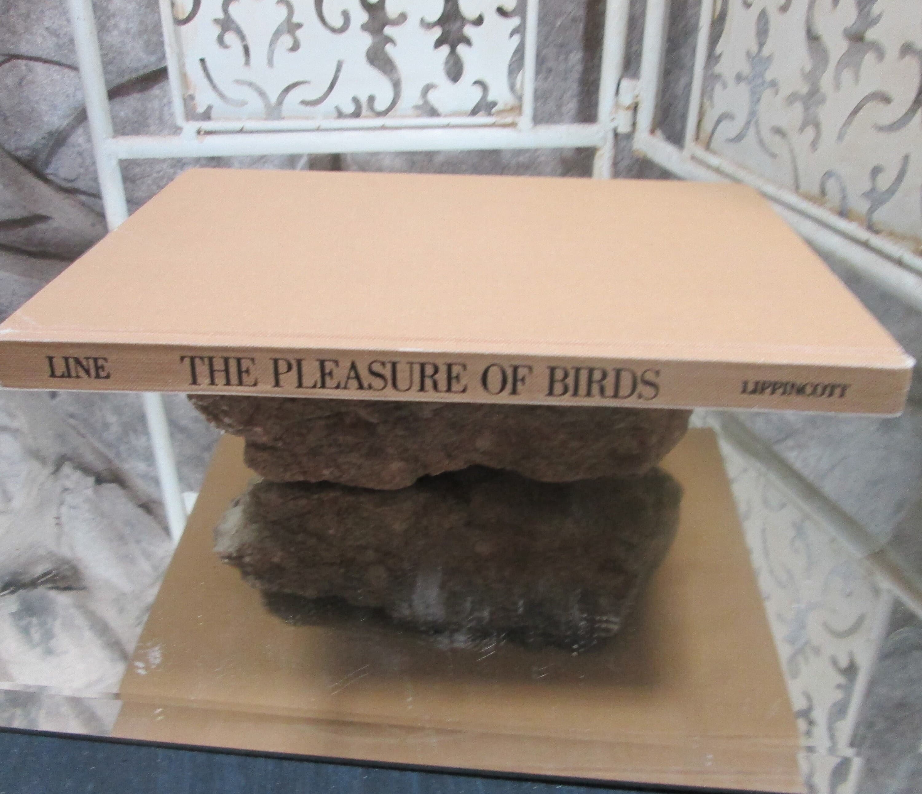 Vintage Book The Pleasure of Birds, An Audobon Treasury, 1975 - Thumbnail 2