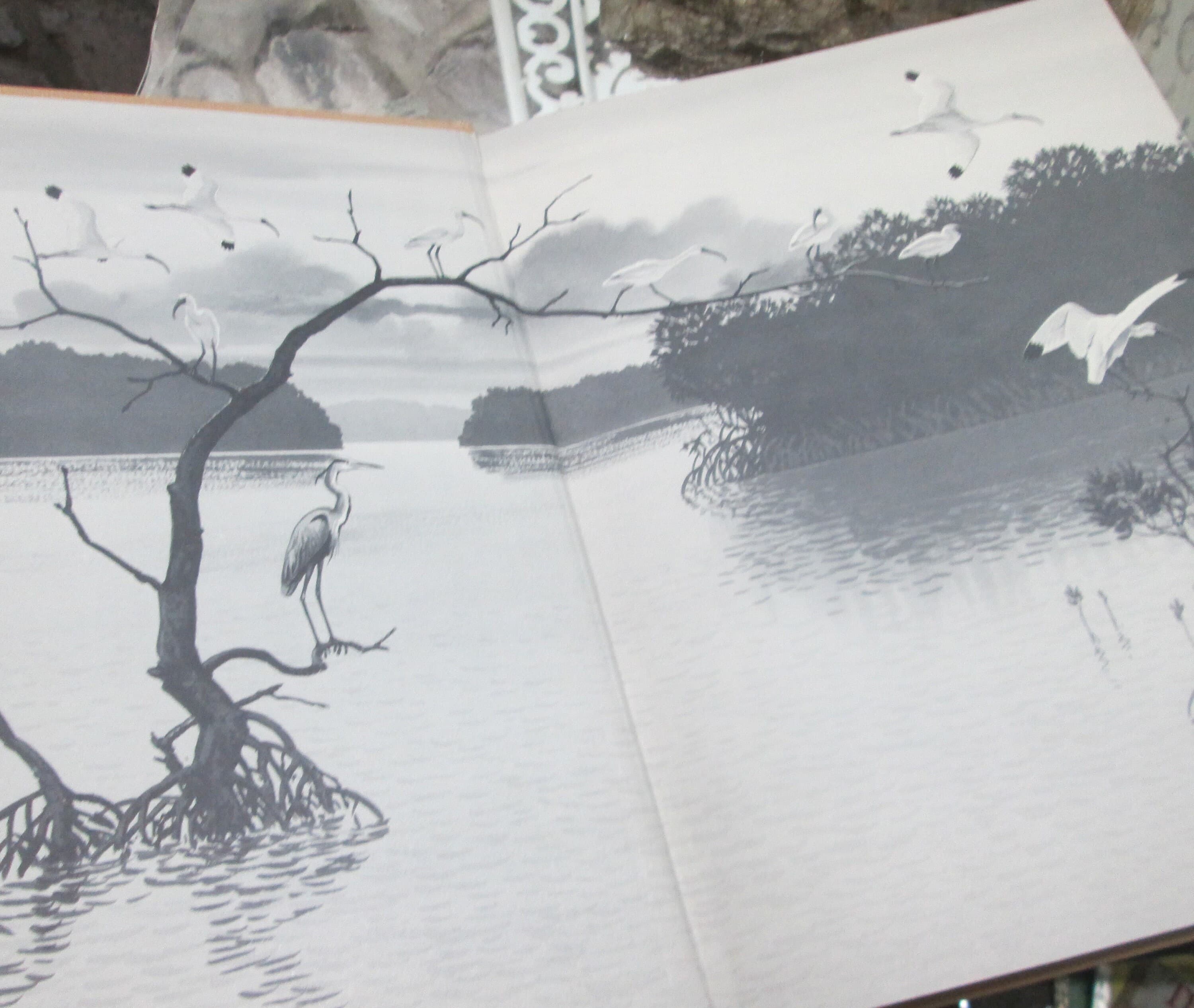 Vintage Book The Pleasure of Birds, An Audobon Treasury, 1975 - Thumbnail 4