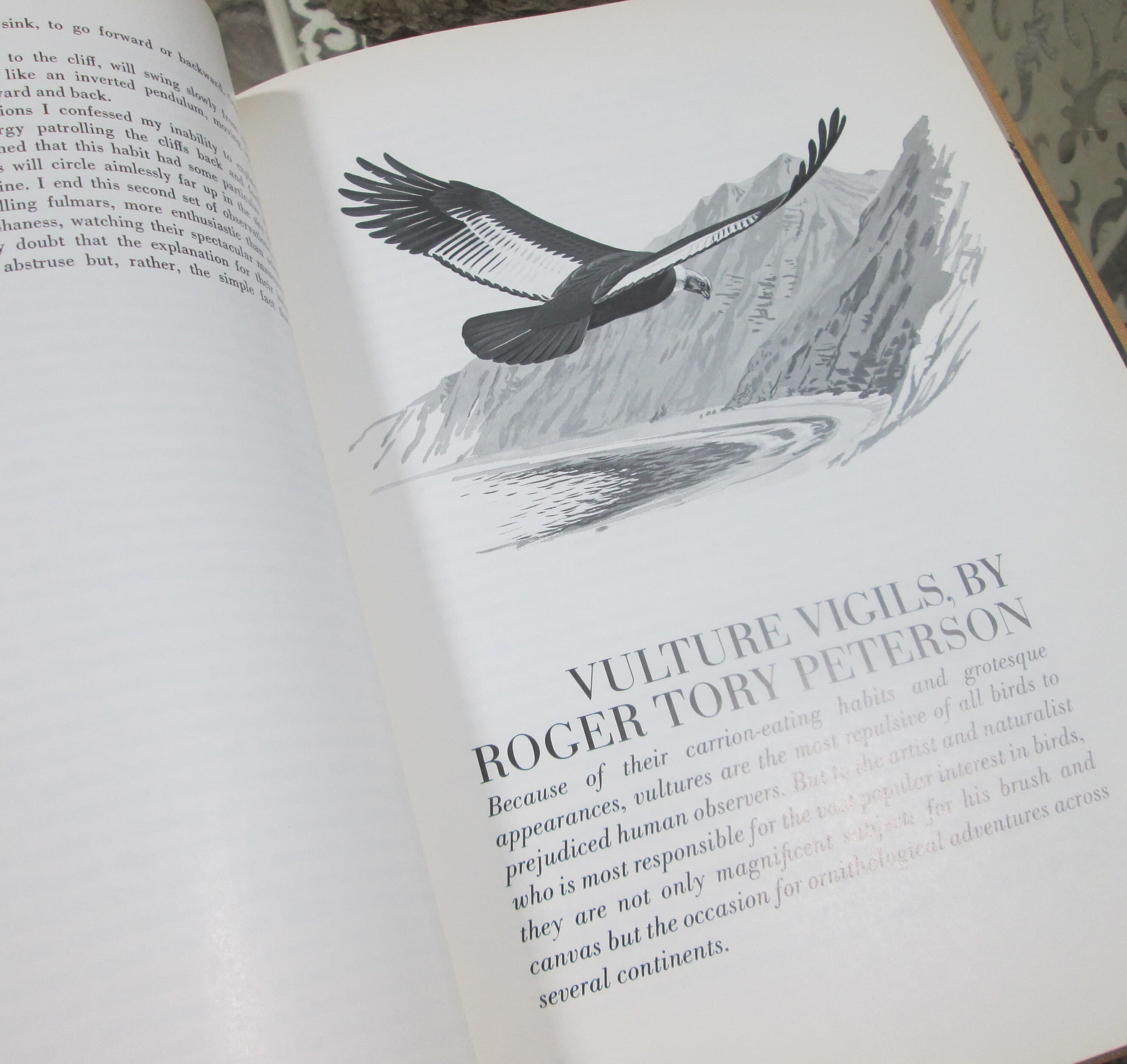 Vintage Book The Pleasure of Birds, An Audobon Treasury, 1975 - Thumbnail 5
