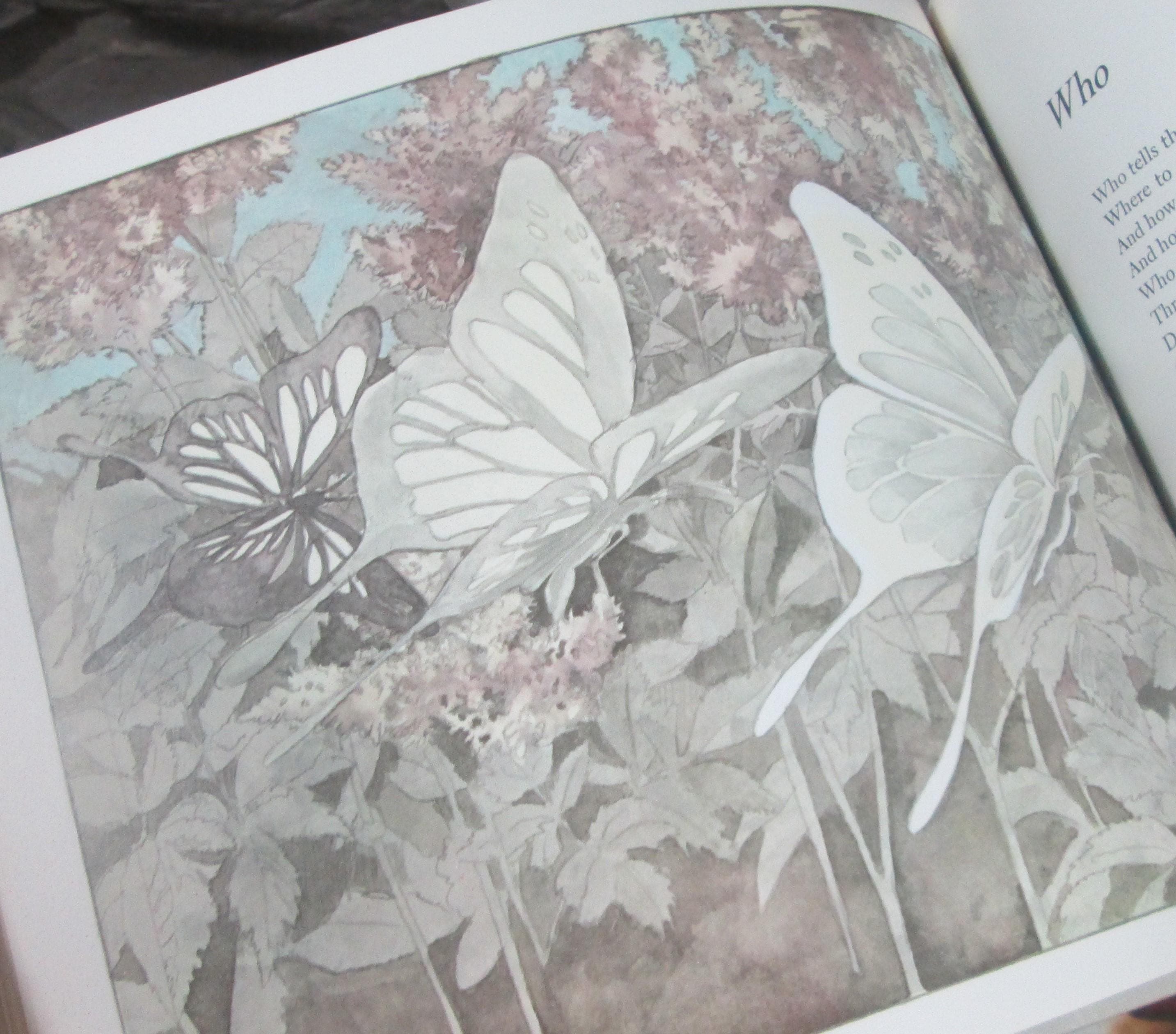 Winds by Mary O'Neill, Illustrated by James Barkley, 1970 Children's Book - Thumbnail 6
