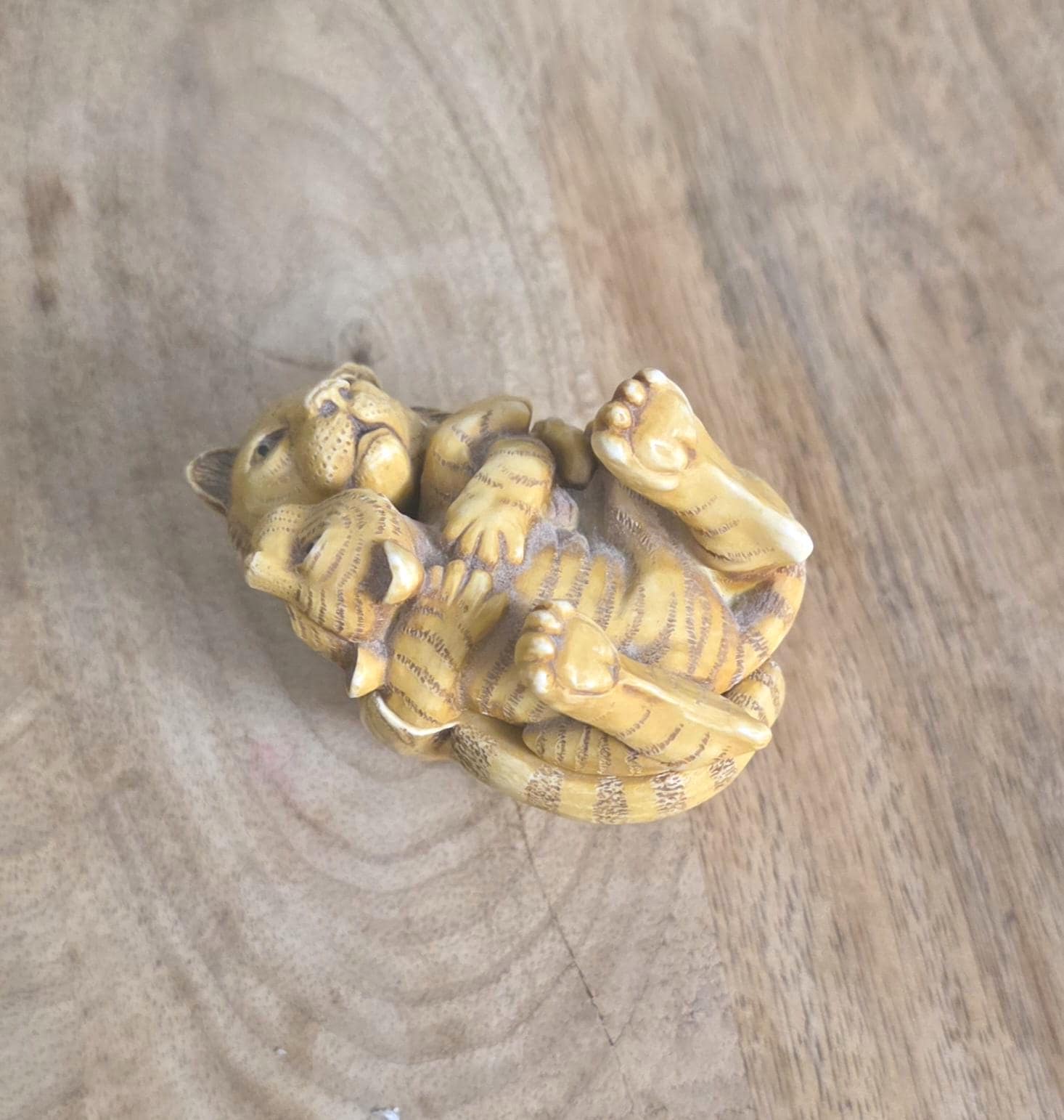 Vintage Harmony Kingdom Of The Same Stripe Trinket Box, 1993