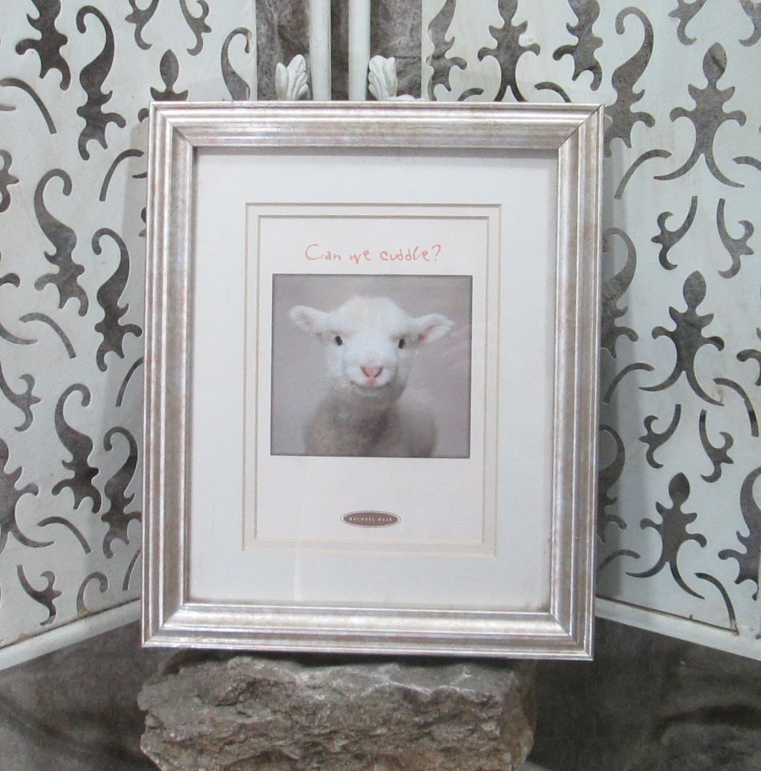 Vintage Rachel Hale Photography Can We Cuddle? Sheep Photo