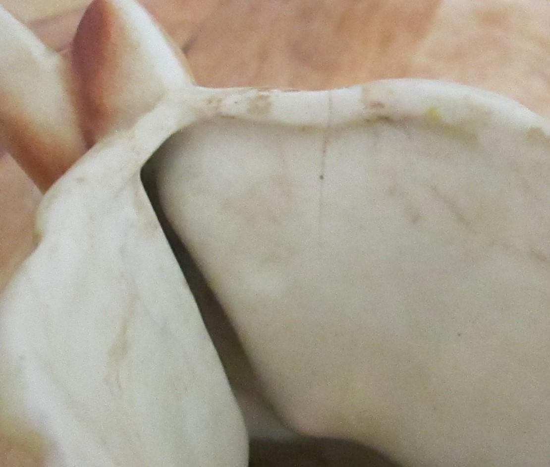 Vintage 1940's Gazelle Planter - Thumbnail 3