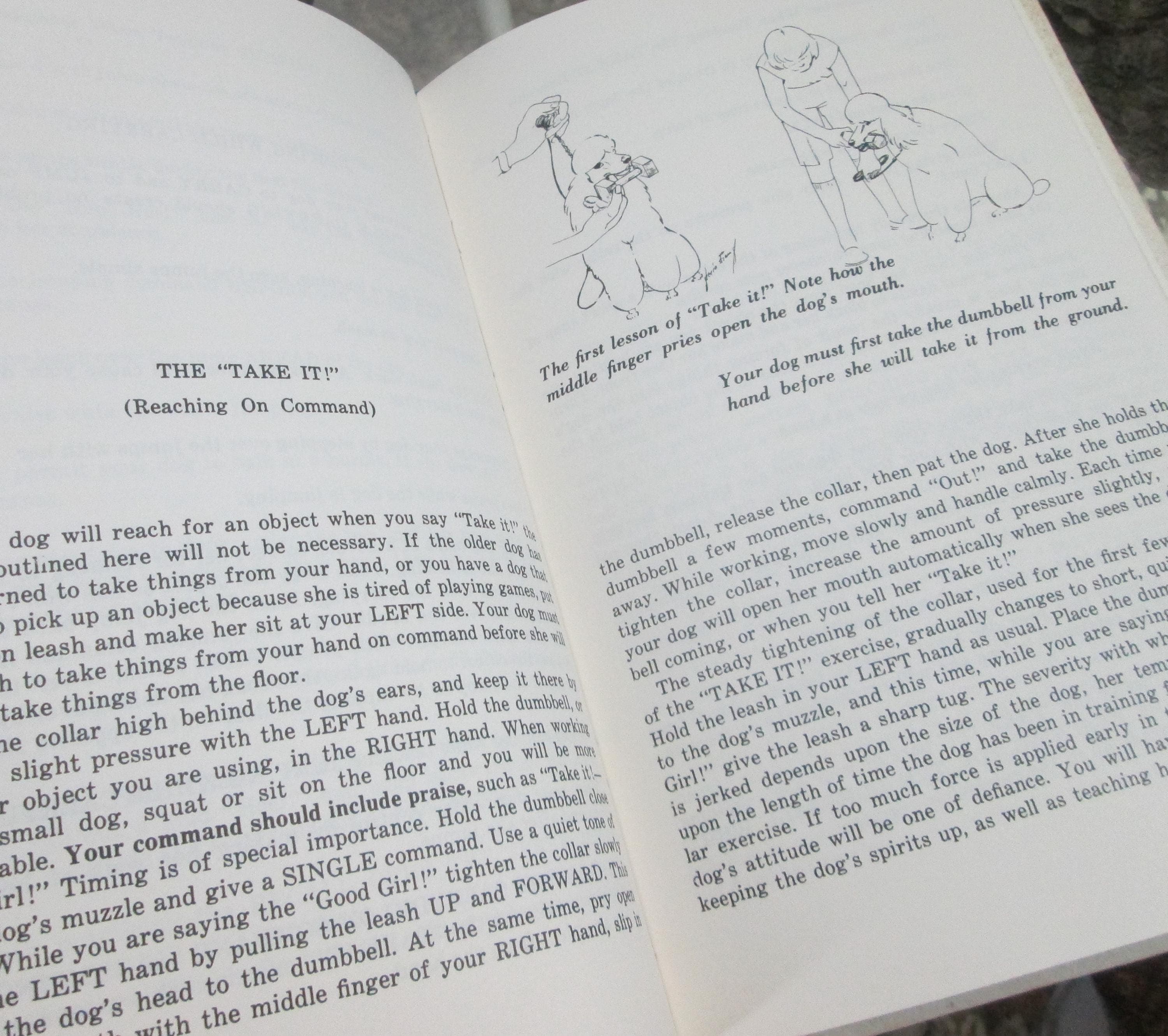 The Blanche Saunders' Obedience Training Courses, 1976, Dog Training Guide - Thumbnail 4