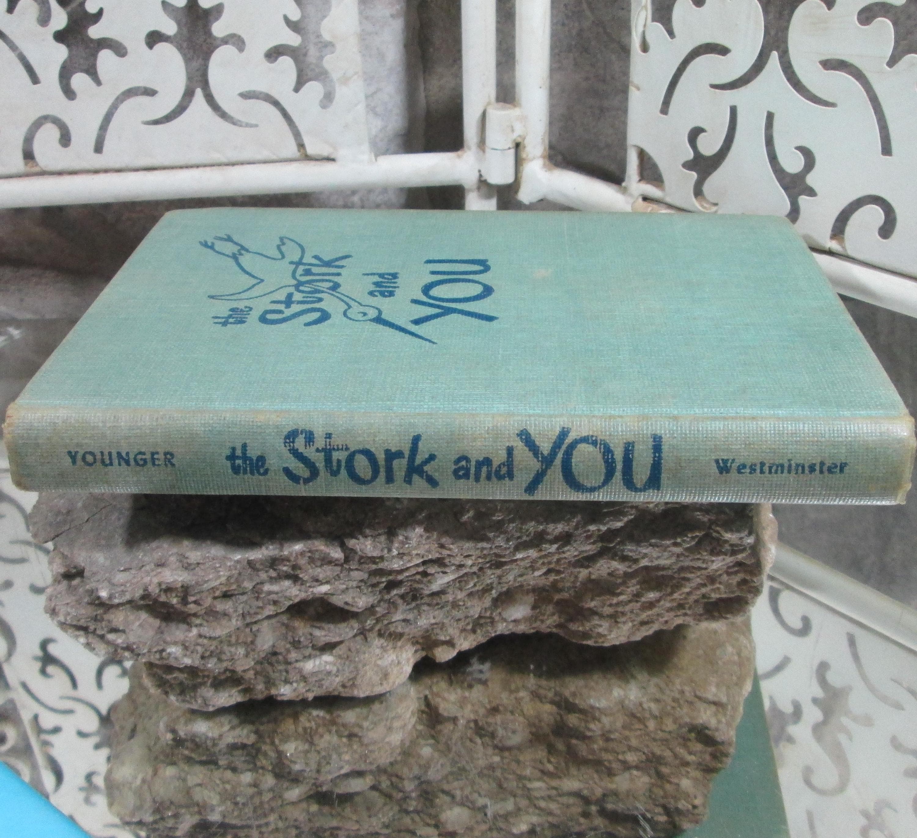 The Stork and You by Joan Younger, 1952, Vintage Pregnancy Book - Thumbnail 2