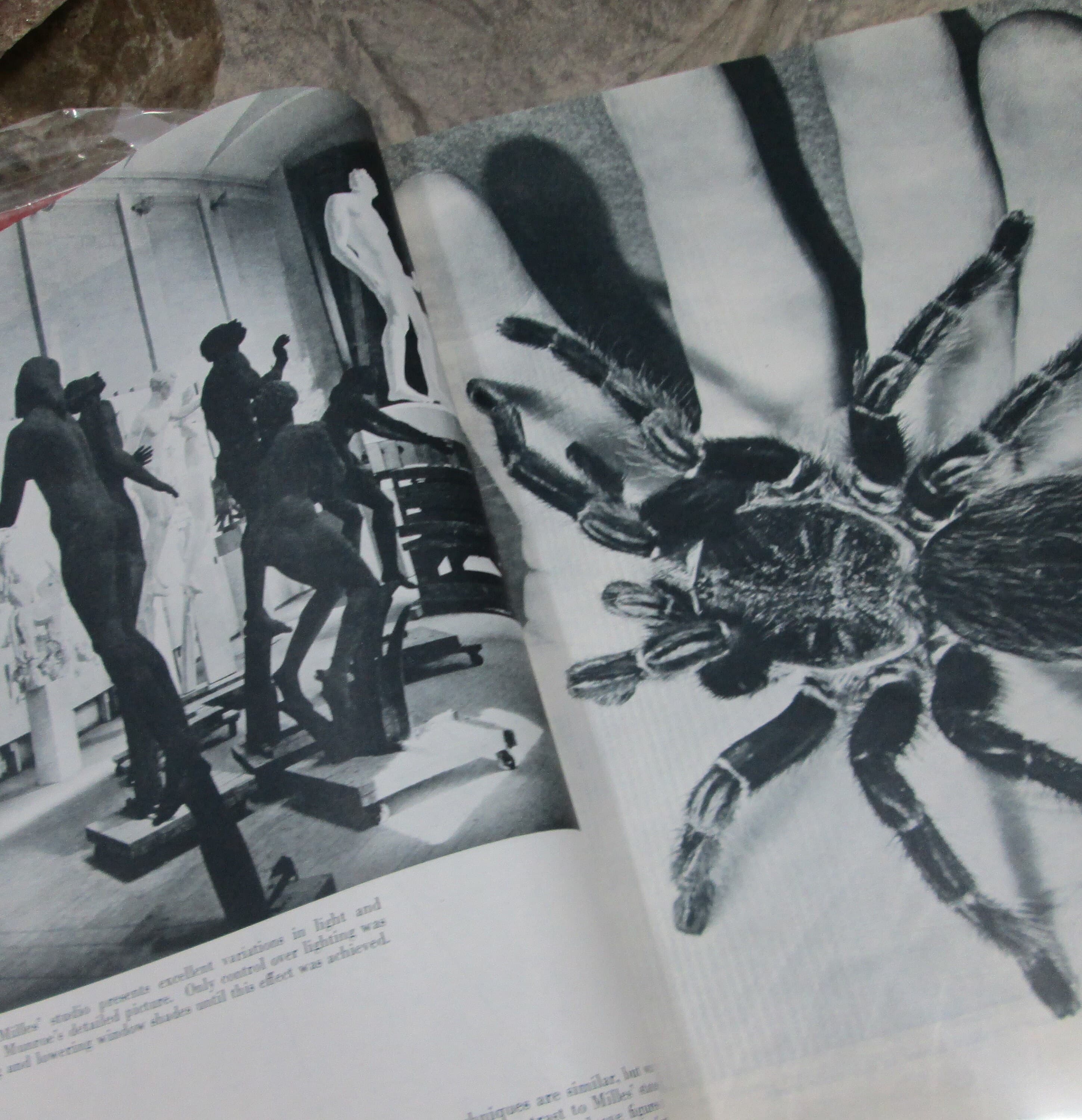 Vintage Popular Photography Magazine January 1946 - Thumbnail 3