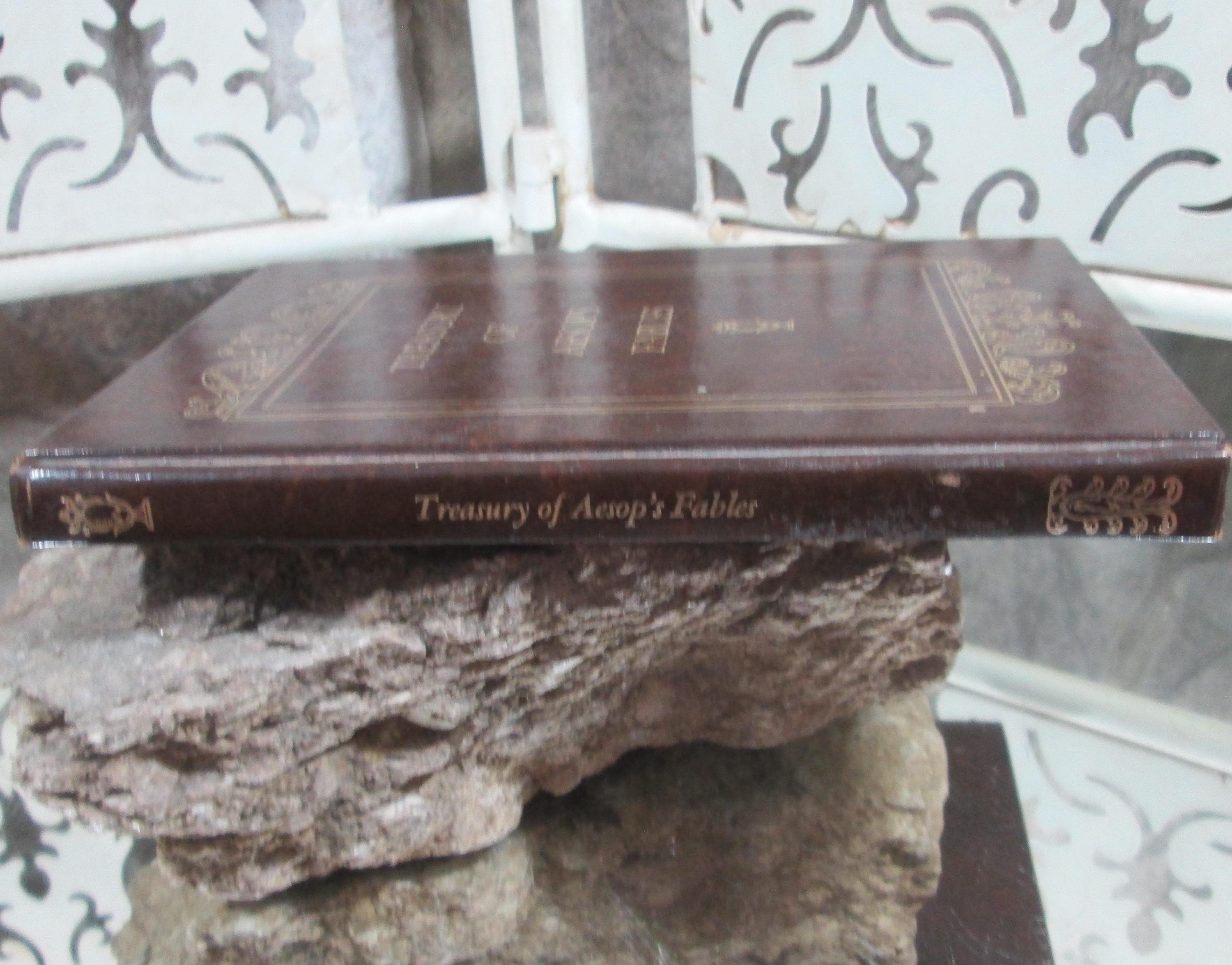 Treasury of Aesop's Fables Illustrated by Thomas Bewick, 1973, Vintage Book - Thumbnail 2