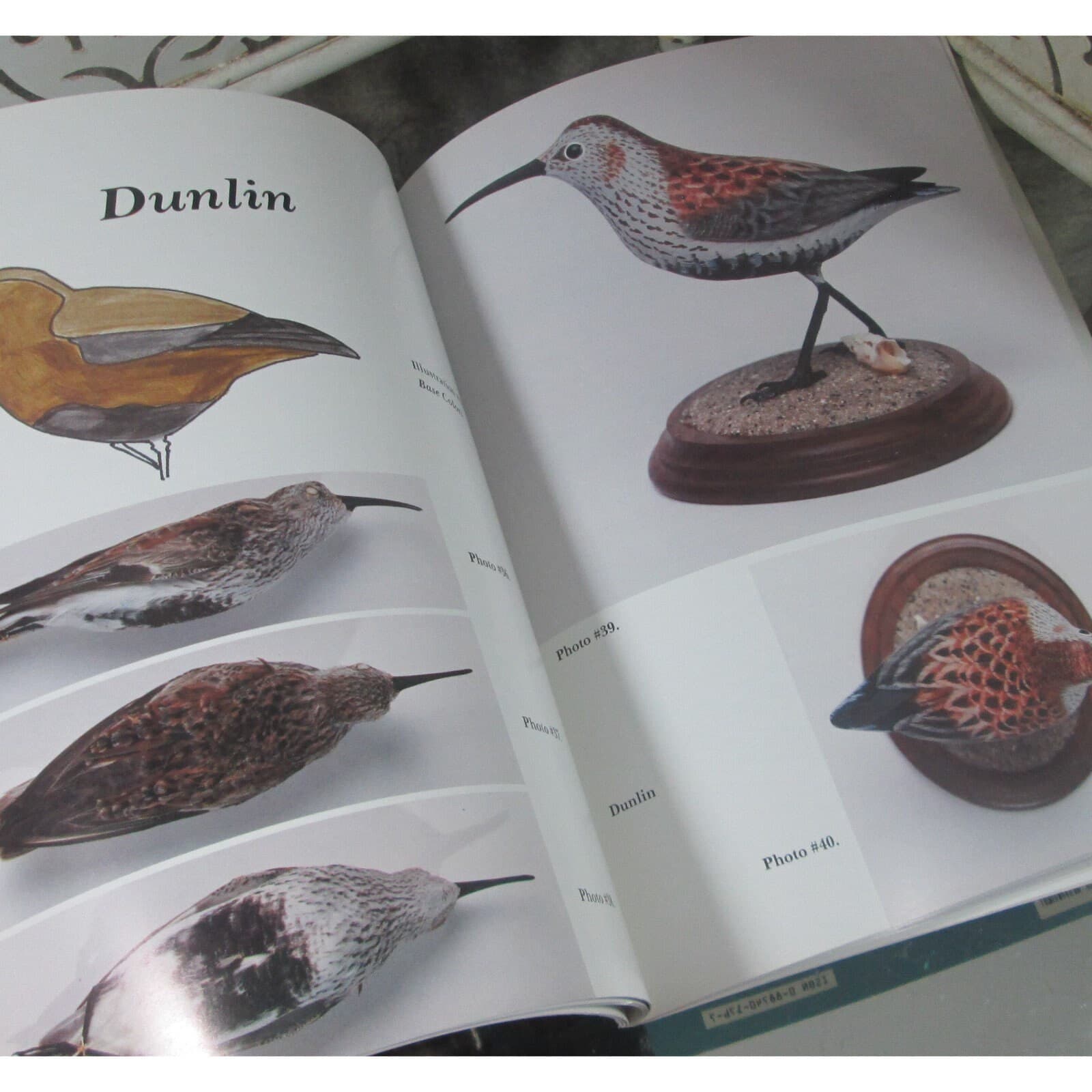 Featherstrokes for Shorebirds by Beebe Hopper, 1989 - Thumbnail 3