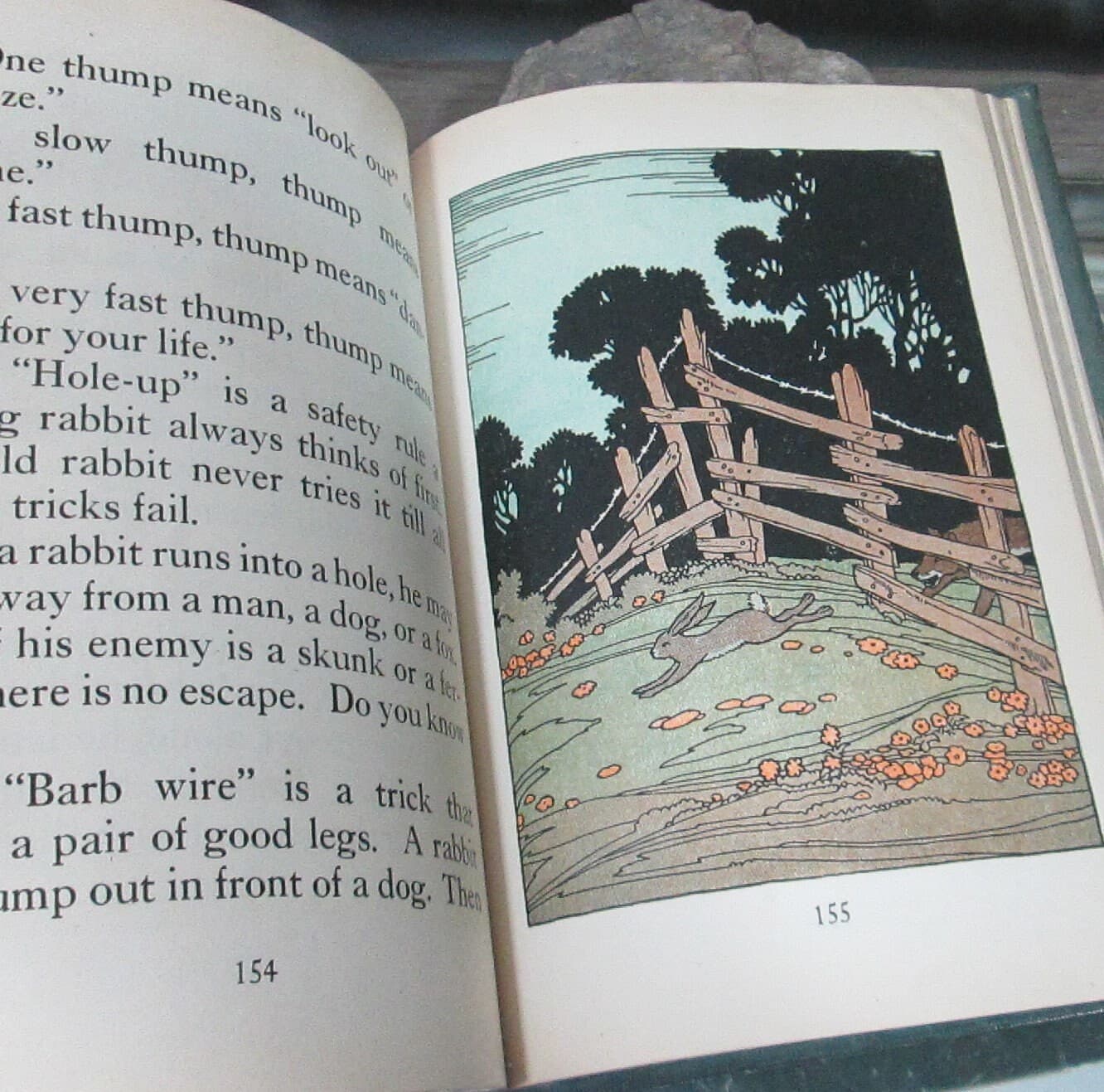 Vintage Edition Child-Story Readers Second Reader 1927 - Thumbnail 4