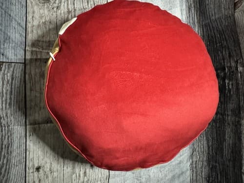 NFL San Francisco 49ers 15 Inch Round Plush Pillow - Thumbnail 5