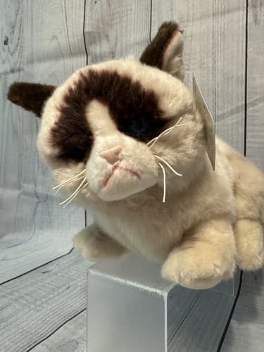 9.5" Grumpy Cat Siamese Gund Stuffed Soft Animal Gray Eyes Plush 4040133 - Thumbnail 2