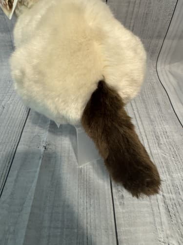 9.5" Grumpy Cat Siamese Gund Stuffed Soft Animal Gray Eyes Plush 4040133 - Thumbnail 5