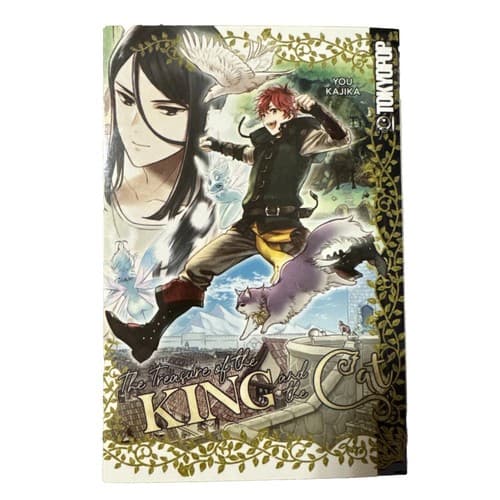 The Treasure of the King and the Cat Paperback You Kajika