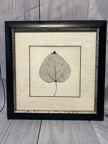 3 prints~"Kaki", "Black Oak", "Cottonwood" by Booker Morey Framed Print 13x13 - Thumbnail 2