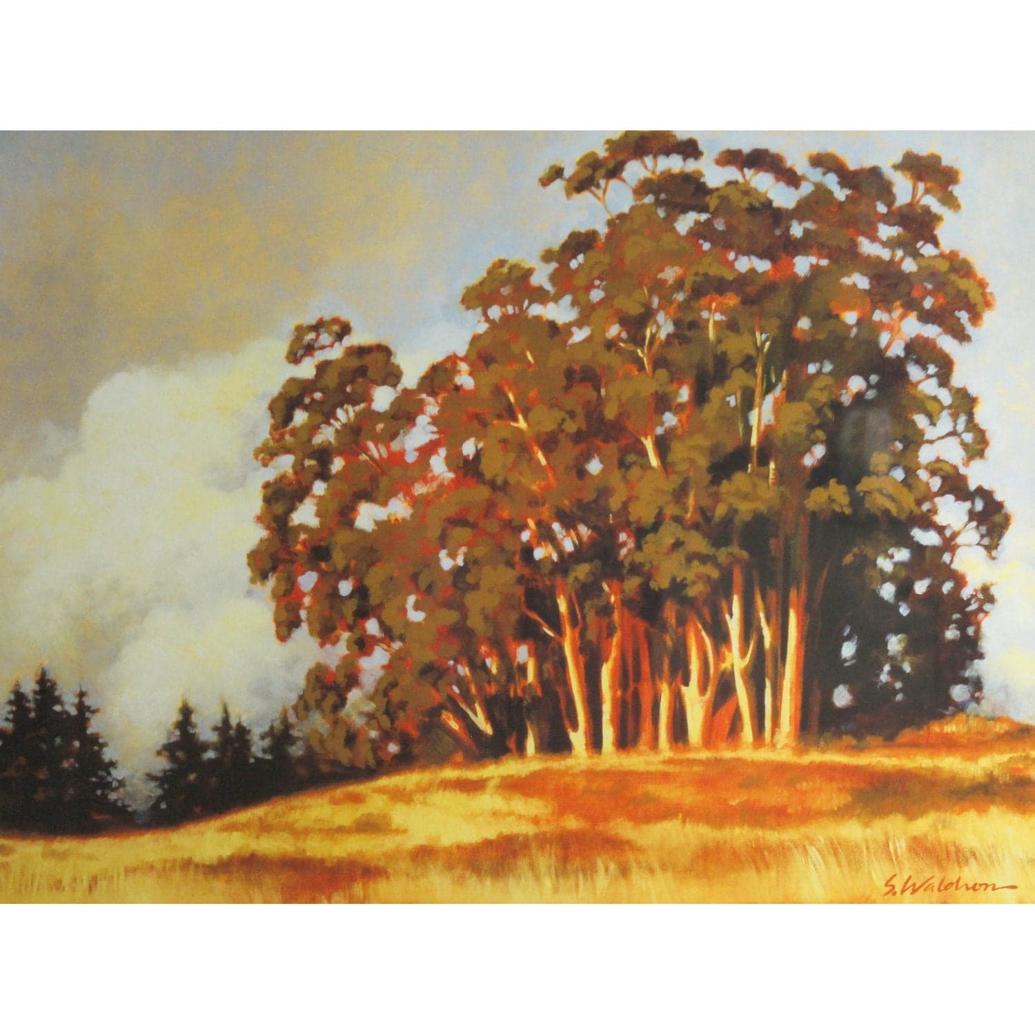Eucalyptus Artwork by Waldron - Thumbnail 2
