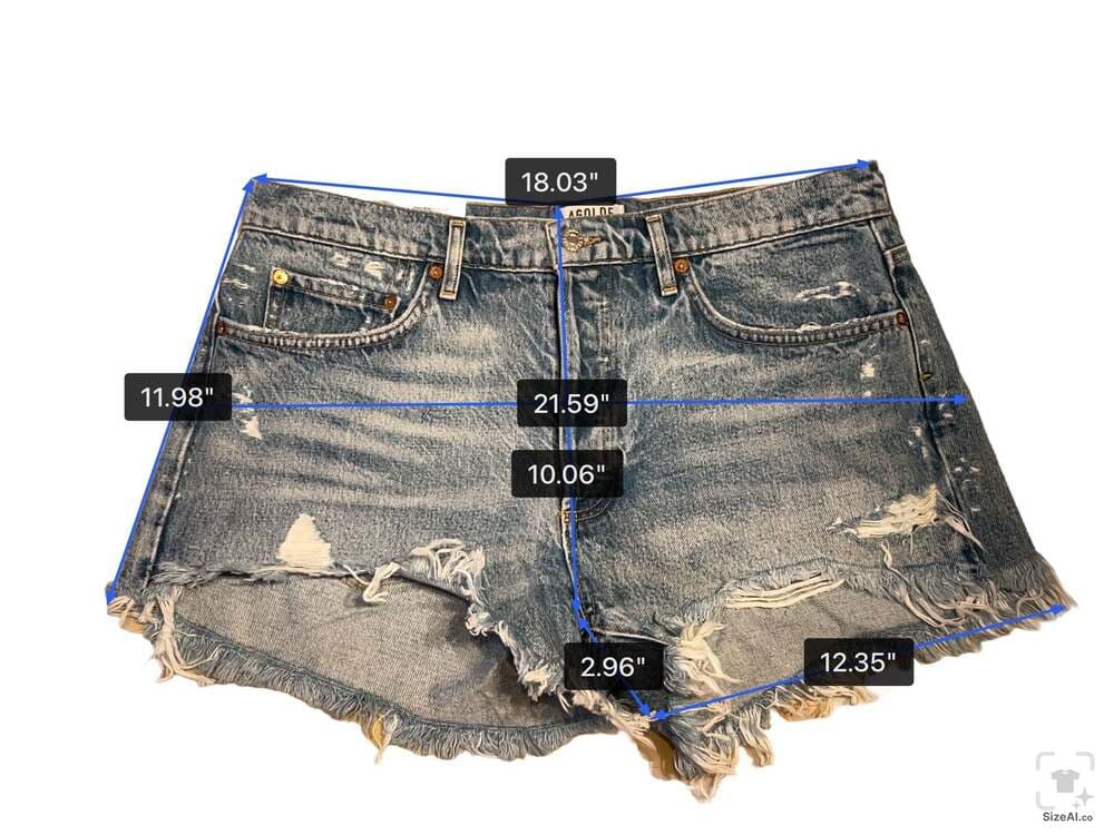 AGOLDE Parker Vintage Cut Off Shorts in Swapmeet - Thumbnail 4