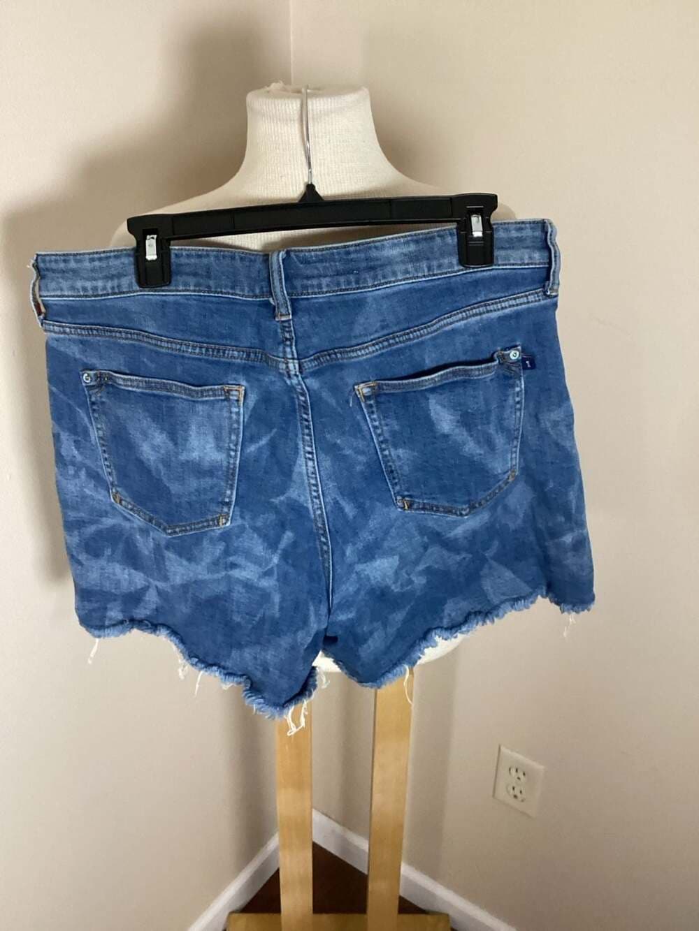 Pilcro by Anthropologie Cloud Wash Raw Hem Denim Shorts, Size 31 - Thumbnail 2