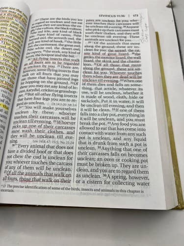 NIV Holy Bible Reference Giant Print Hardcover Red Letter Highlighted Study Copy - Thumbnail 9
