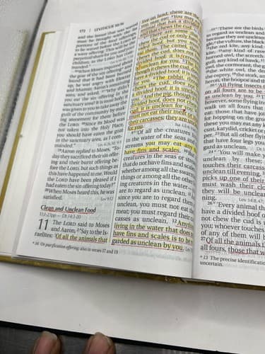 NIV Holy Bible Reference Giant Print Hardcover Red Letter Highlighted Study Copy - Thumbnail 8