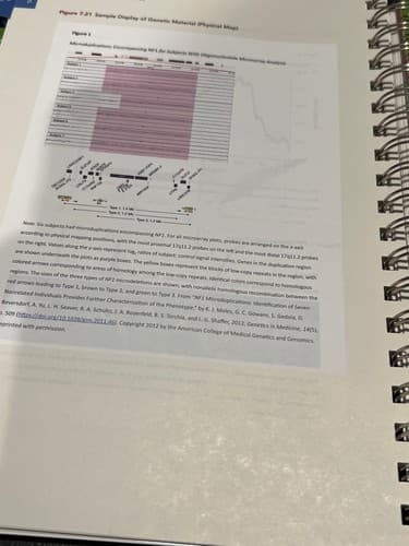 Publication Manual APA 7th Edition Official Paperback - Thumbnail 9