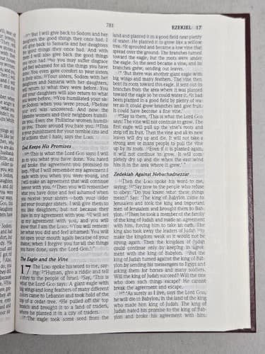 The Everyday Bible New Century Version NCV Dictionary Concordance Hardcover 1989 - Thumbnail 5