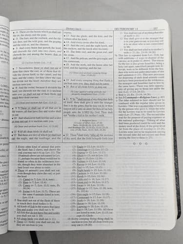 Dake Annotated Reference Bible Old & New Testaments Black Genuine Leather KJV - Thumbnail 4
