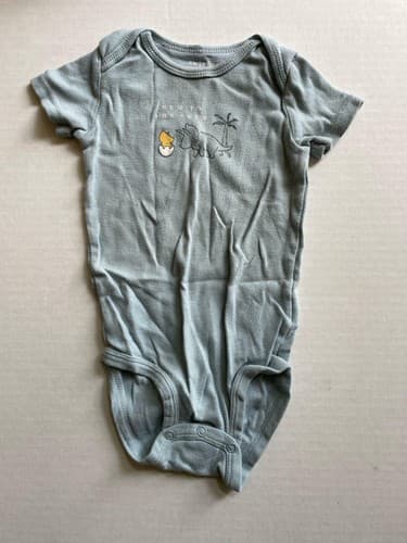 Baby Boy 18 Month Short Sleeve Bodysuits Lot Of 10 - Thumbnail 18