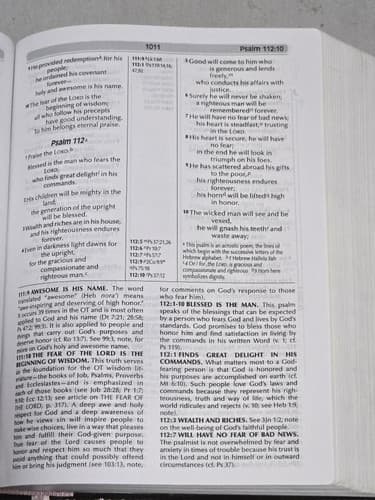 NIV Fire Bible Global Study Edition Chocolate Pink Flexisoft Leather Hendri - Thumbnail 7