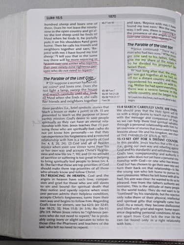 NIV Fire Bible Global Study Edition Chocolate Pink Flexisoft Leather Hendri - Thumbnail 9