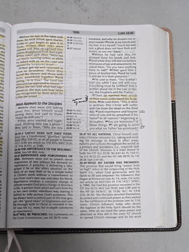 NIV Fire Bible Global Study Edition Chocolate Pink Flexisoft Leather Hendri - Thumbnail 15