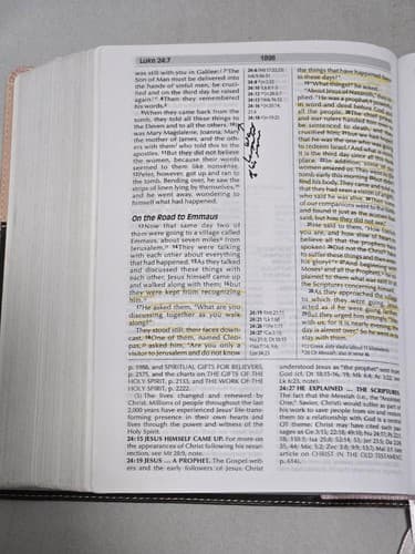 NIV Fire Bible Global Study Edition Chocolate Pink Flexisoft Leather Hendri - Thumbnail 14