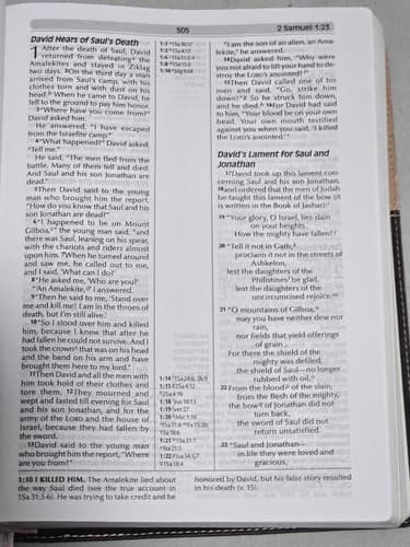 NIV Fire Bible Global Study Edition Chocolate Pink Flexisoft Leather Hendri - Thumbnail 6